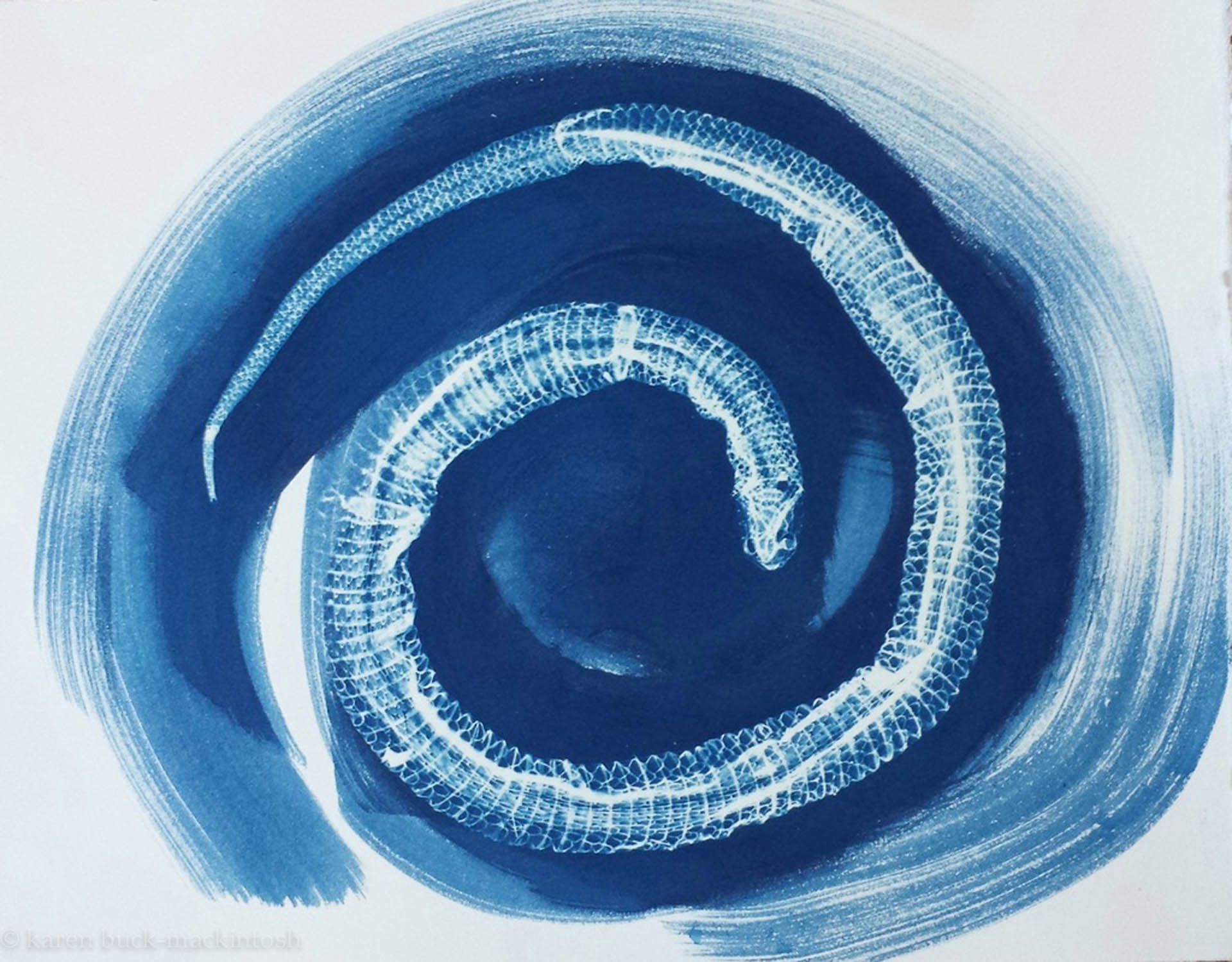 Karen Buck-Mackintosh
