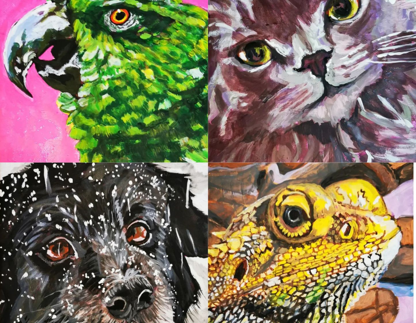 The Pet Portrait Project at the QAC